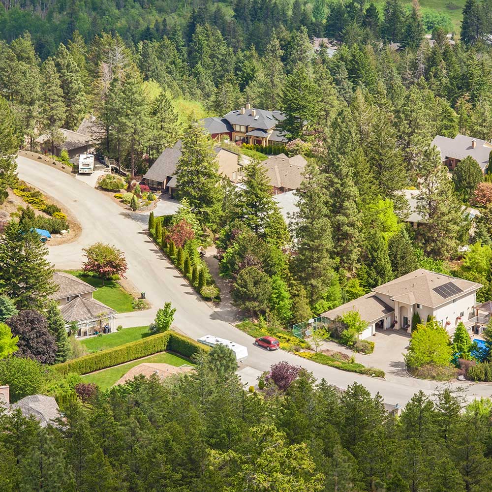 Homes nestled in a forested area