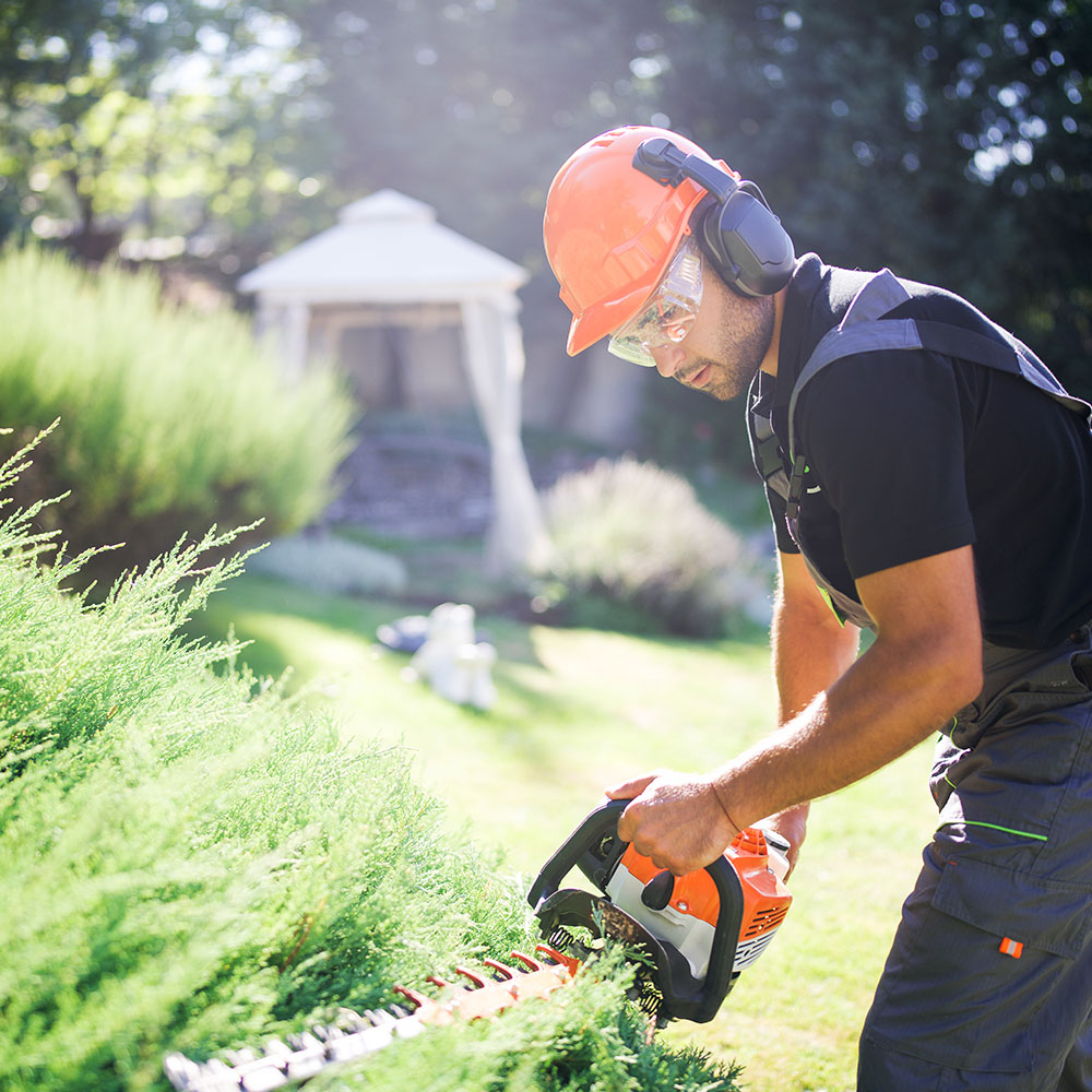 Trimming bushes to reduce wildfire risk