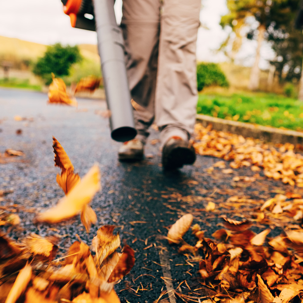 Removing leaves to reduce wildfire fuel