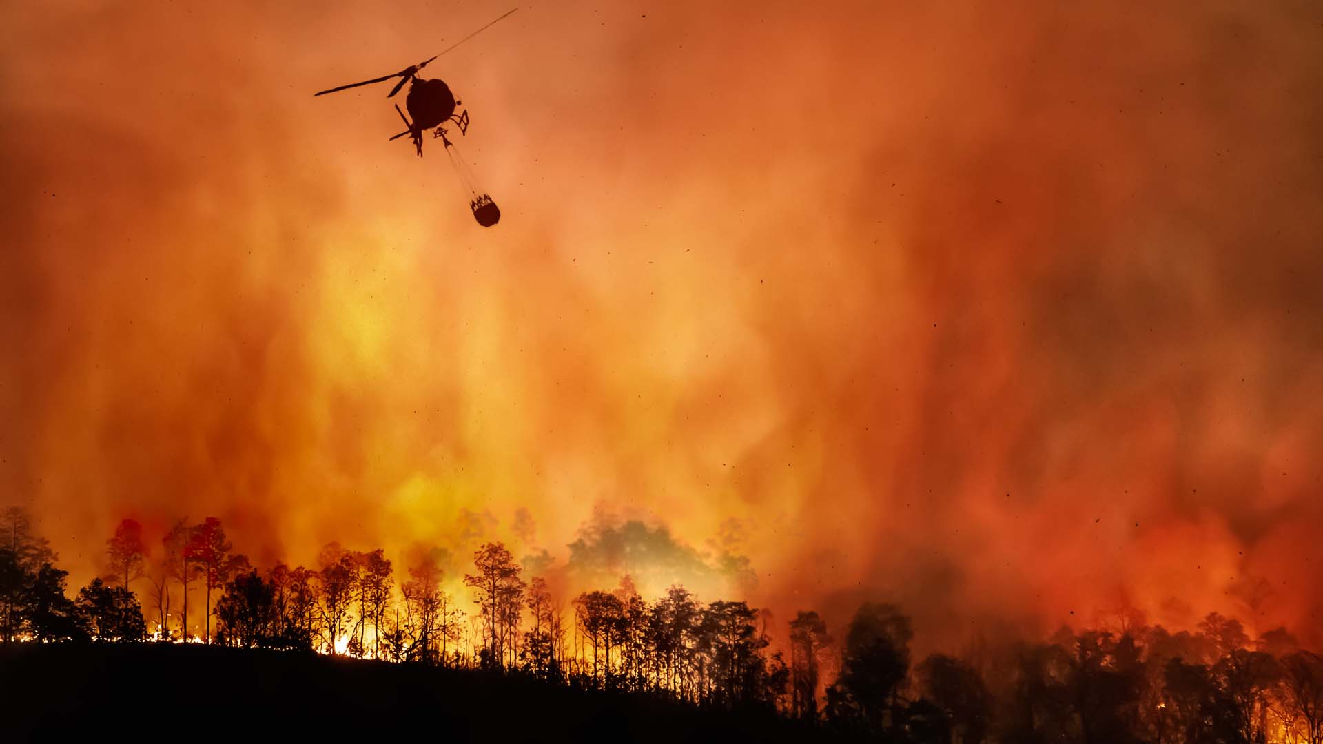 What causes wildfires?