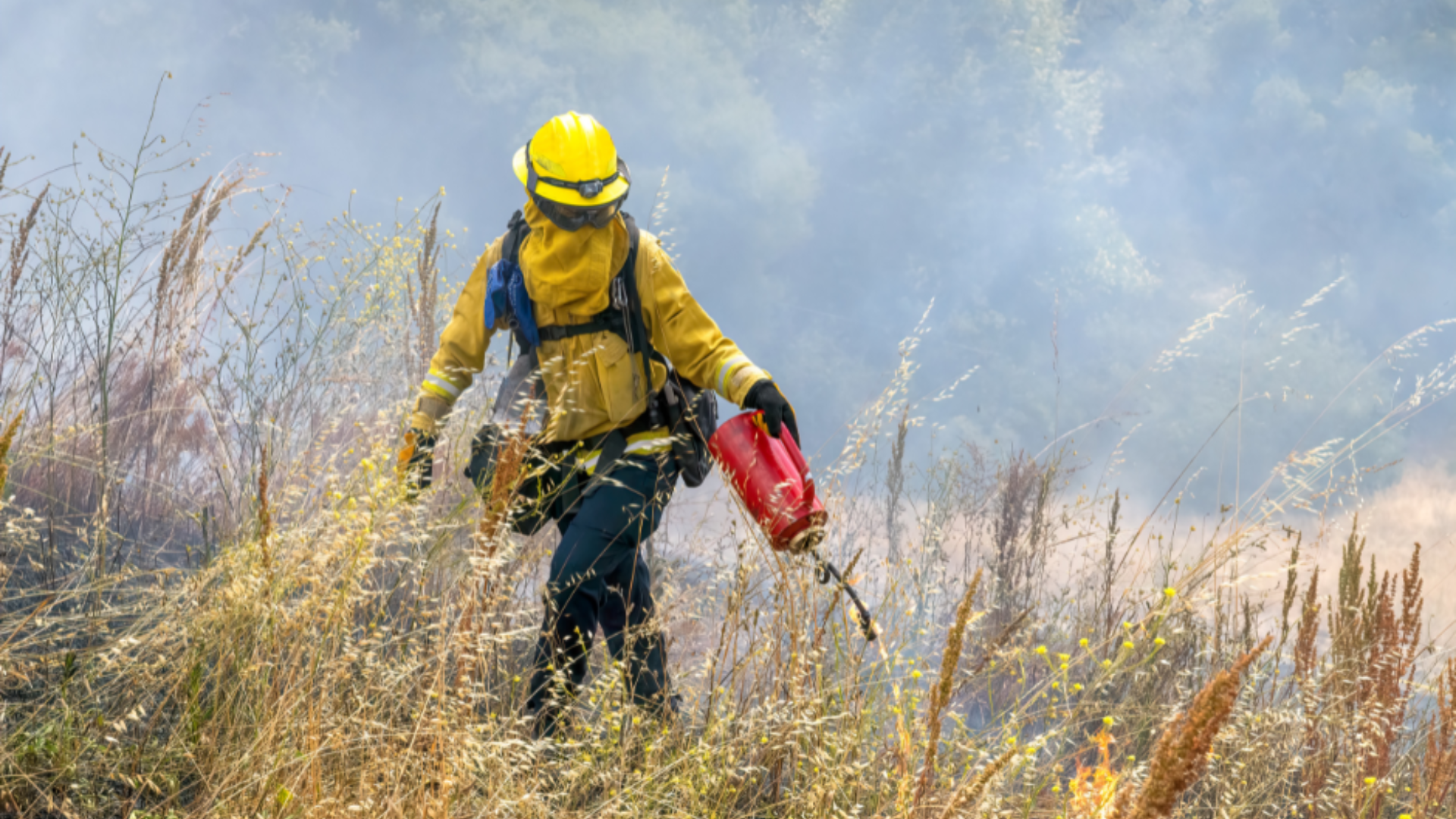 Why should a property owner reduce their wildfire risk?